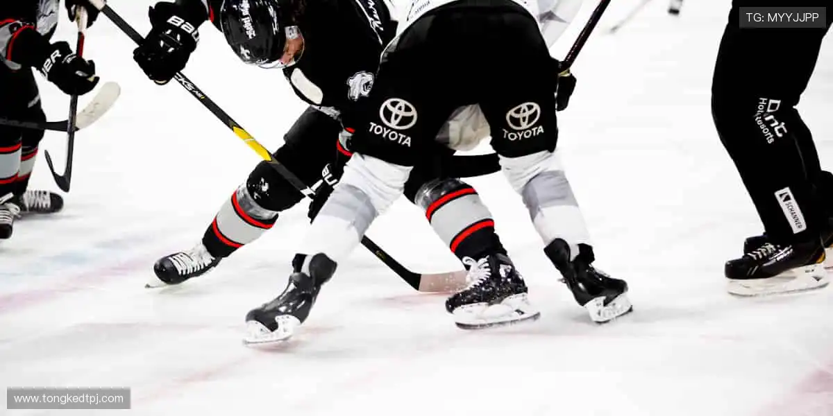 挑战极限的瞬间,直播见证你的高光时刻!✨